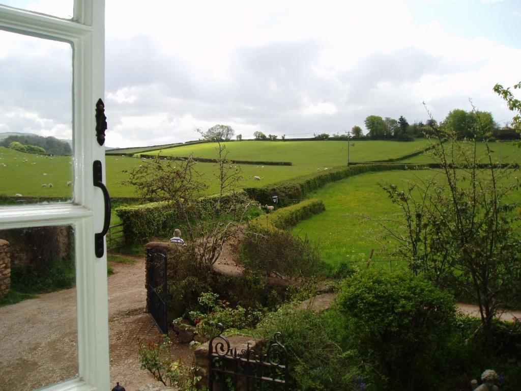 Catwell House Bed and Breakfast Williton Kamer foto