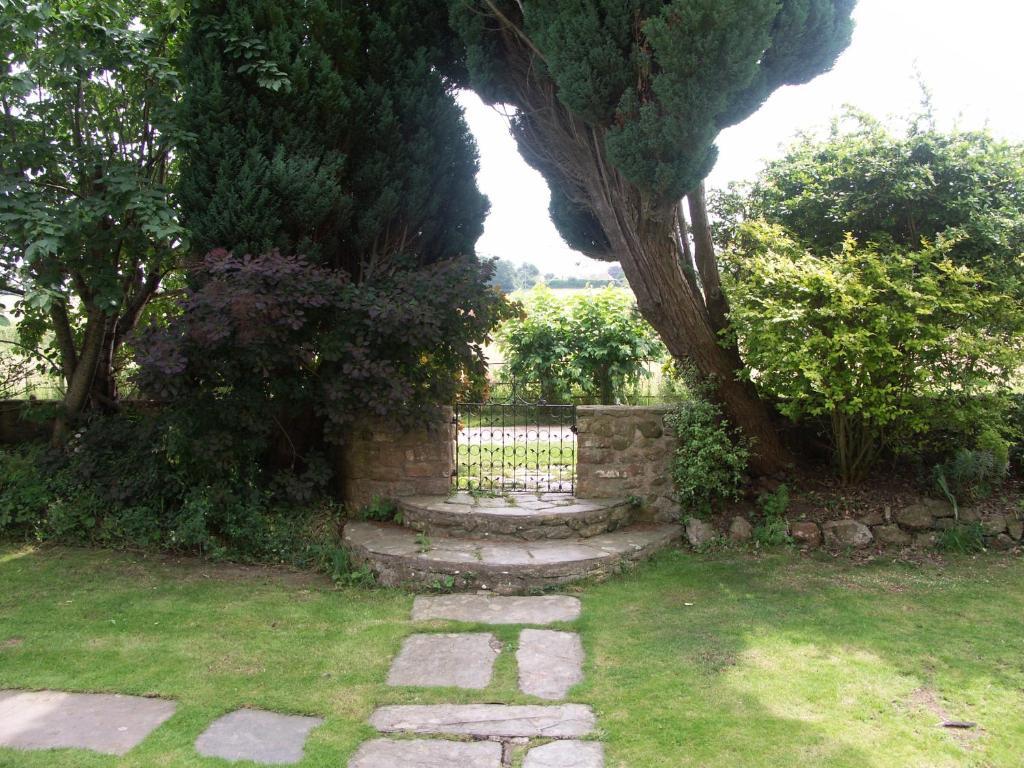 Catwell House Bed and Breakfast Williton Buitenkant foto