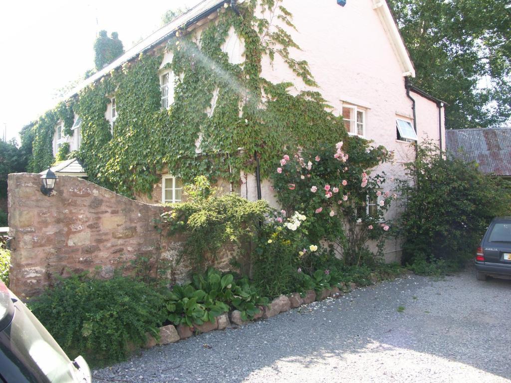 Catwell House Bed and Breakfast Williton Buitenkant foto