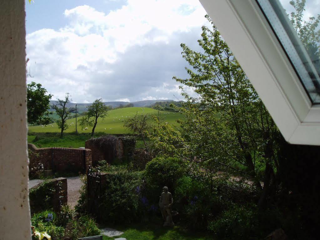 Catwell House Bed and Breakfast Williton Buitenkant foto